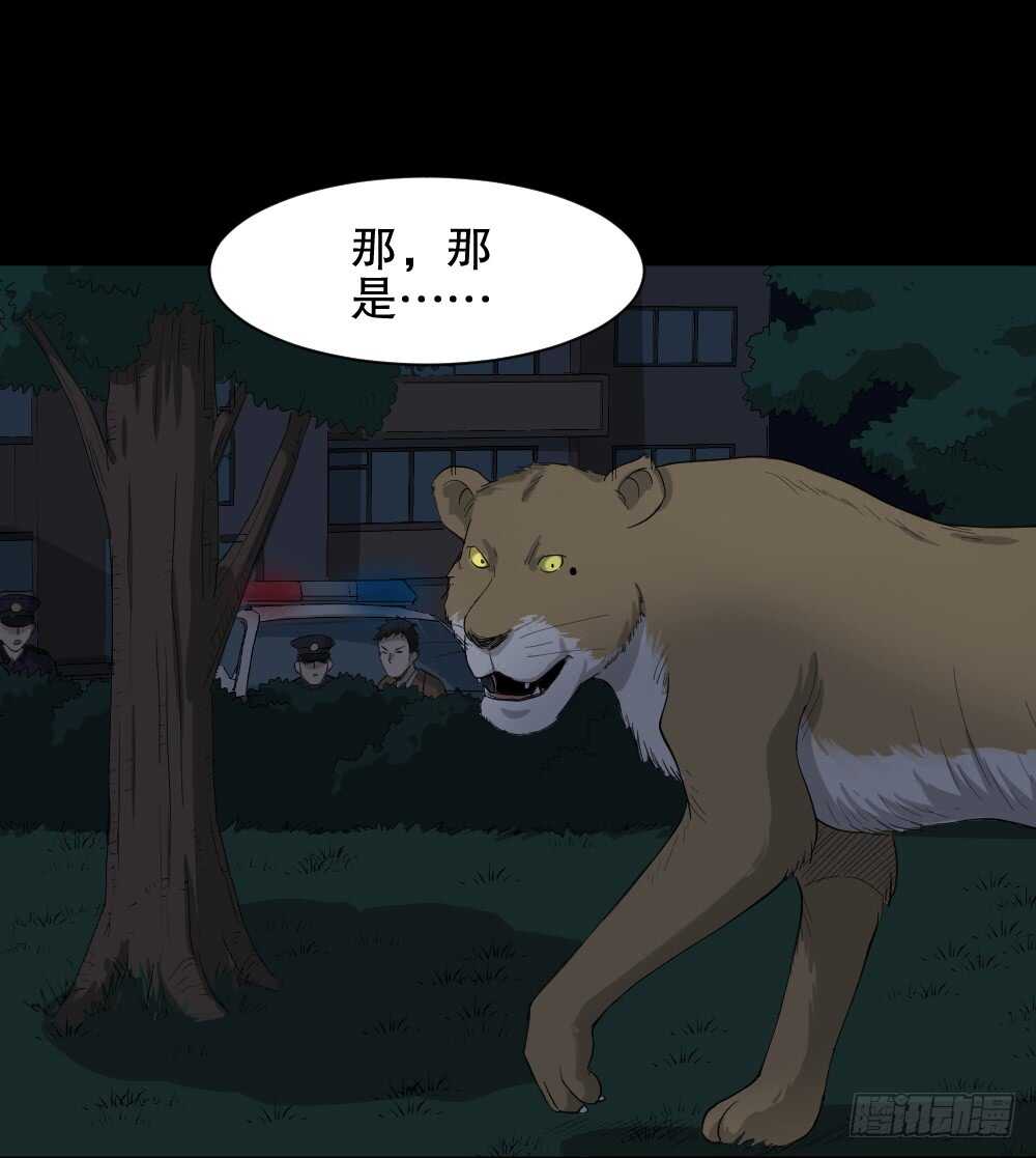 动物妈妈（5）40