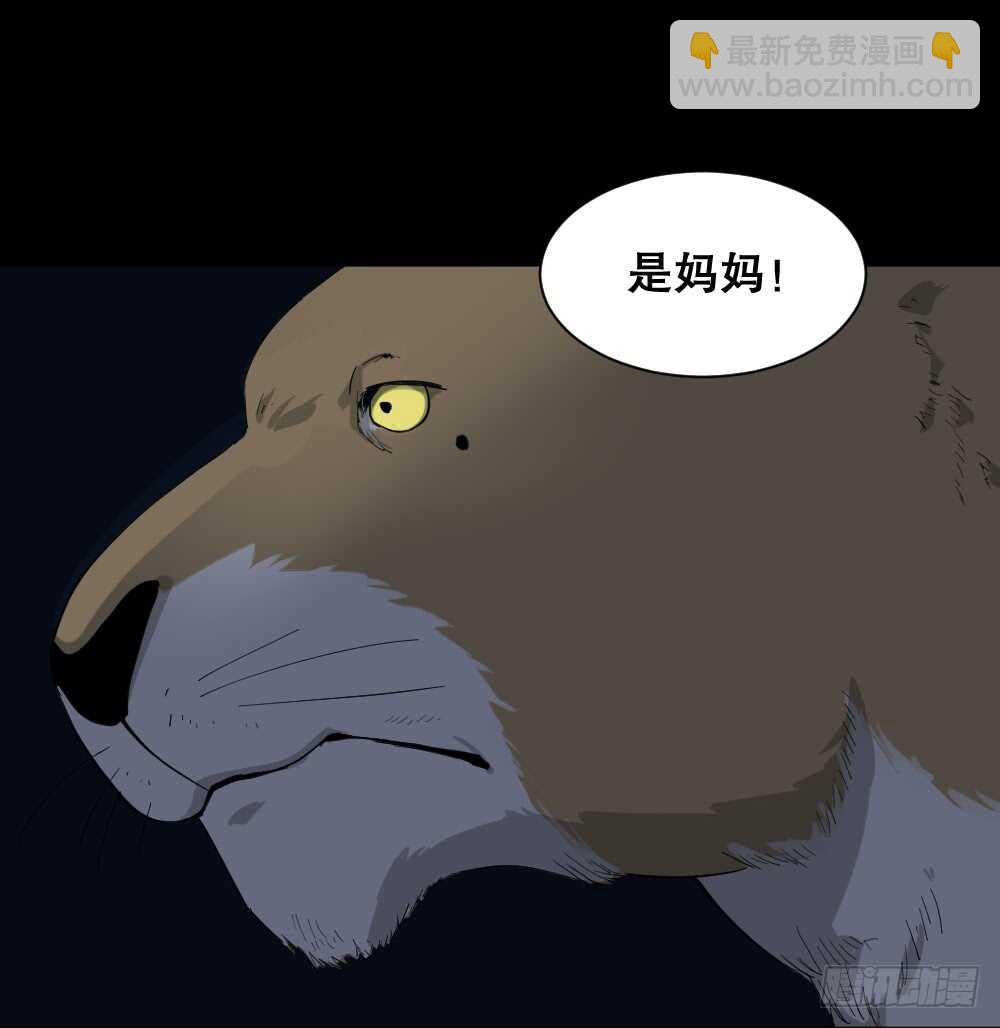 动物妈妈（5）41
