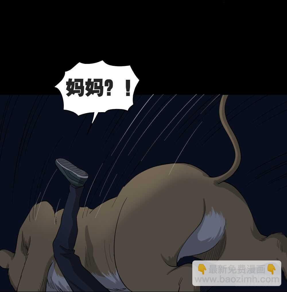 动物妈妈（6）18