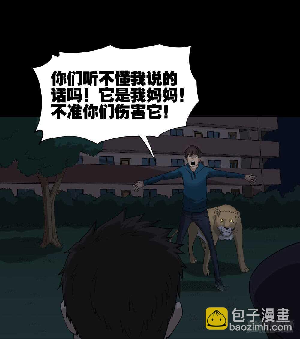 动物妈妈（6）2