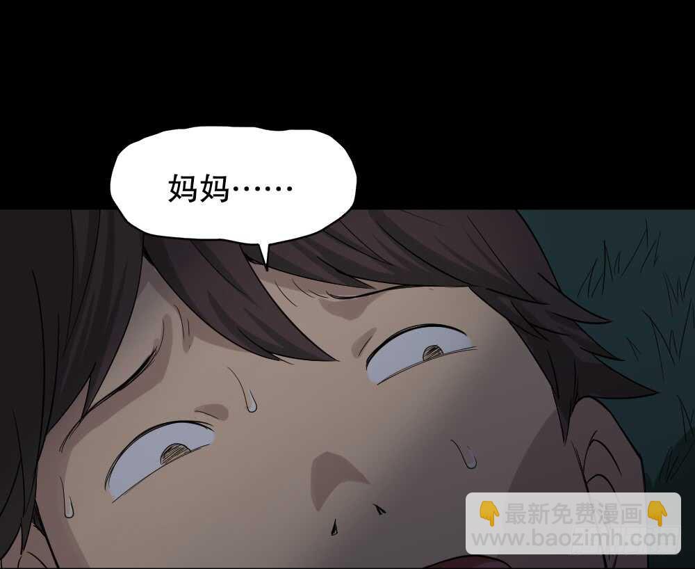 动物妈妈（6）24