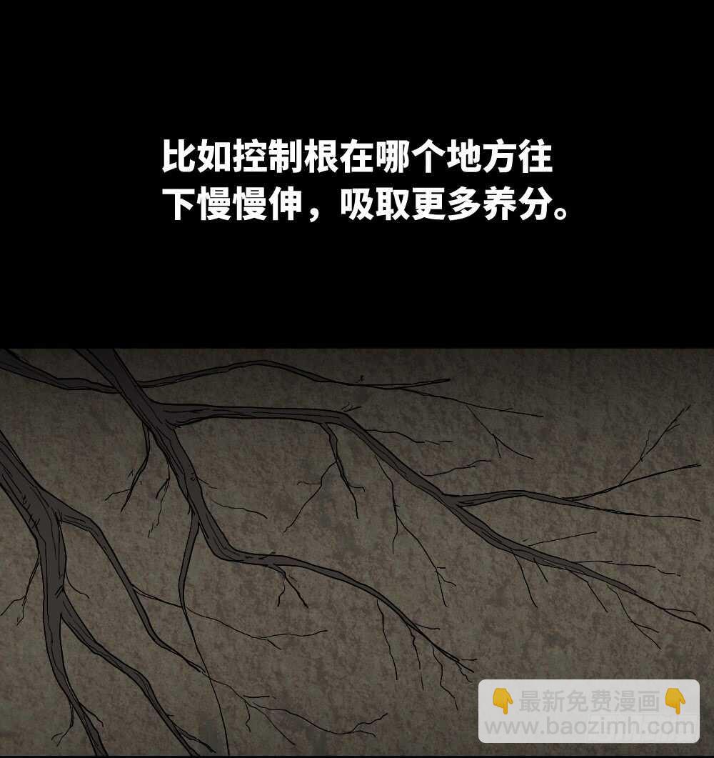 树的报仇（2）7