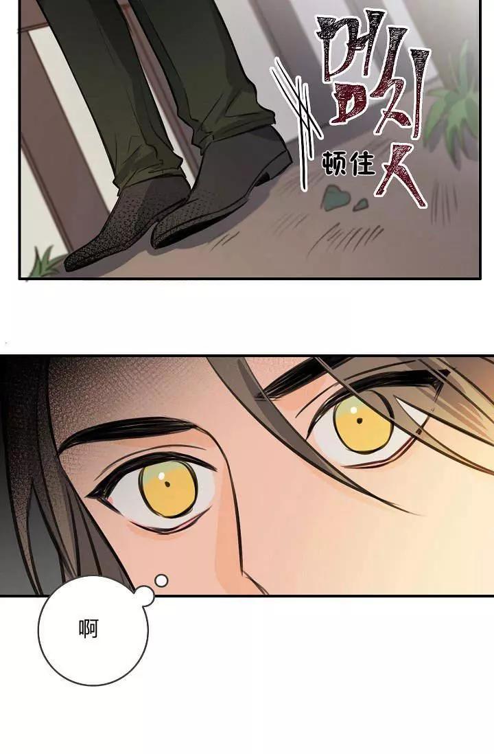 第33话19