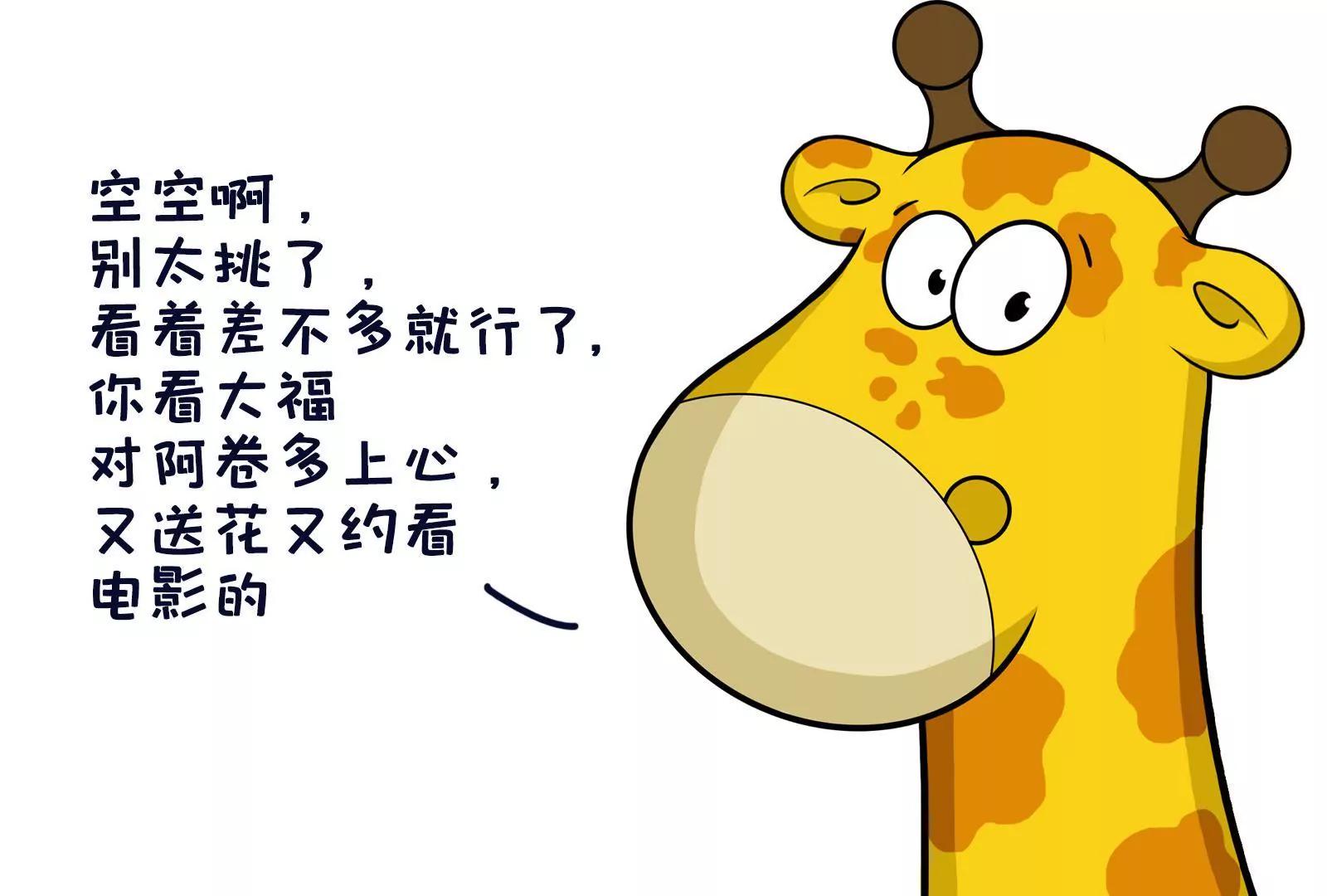 相亲记12
