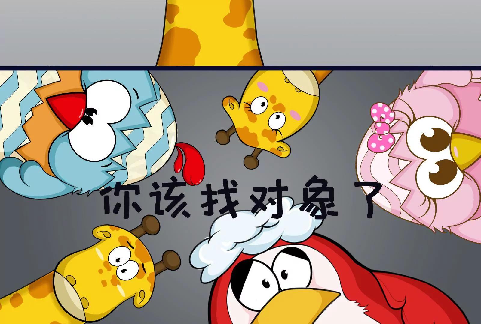 相亲记15