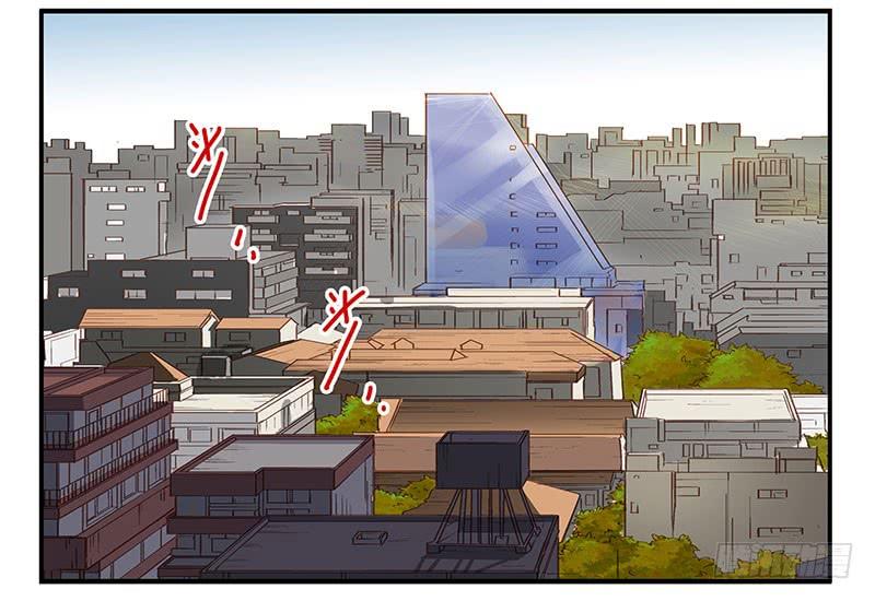 第五季41-42：买个窝吧1