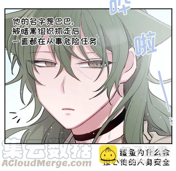 第 49 话8