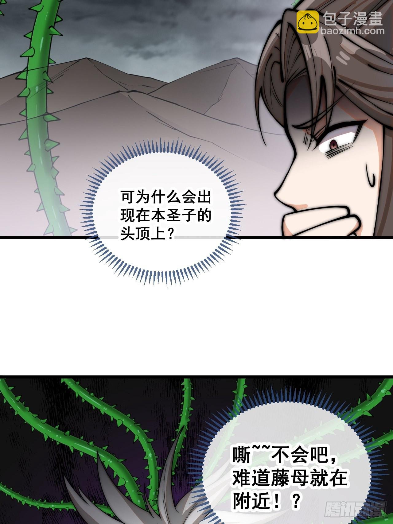 第一百话：藤母登场30