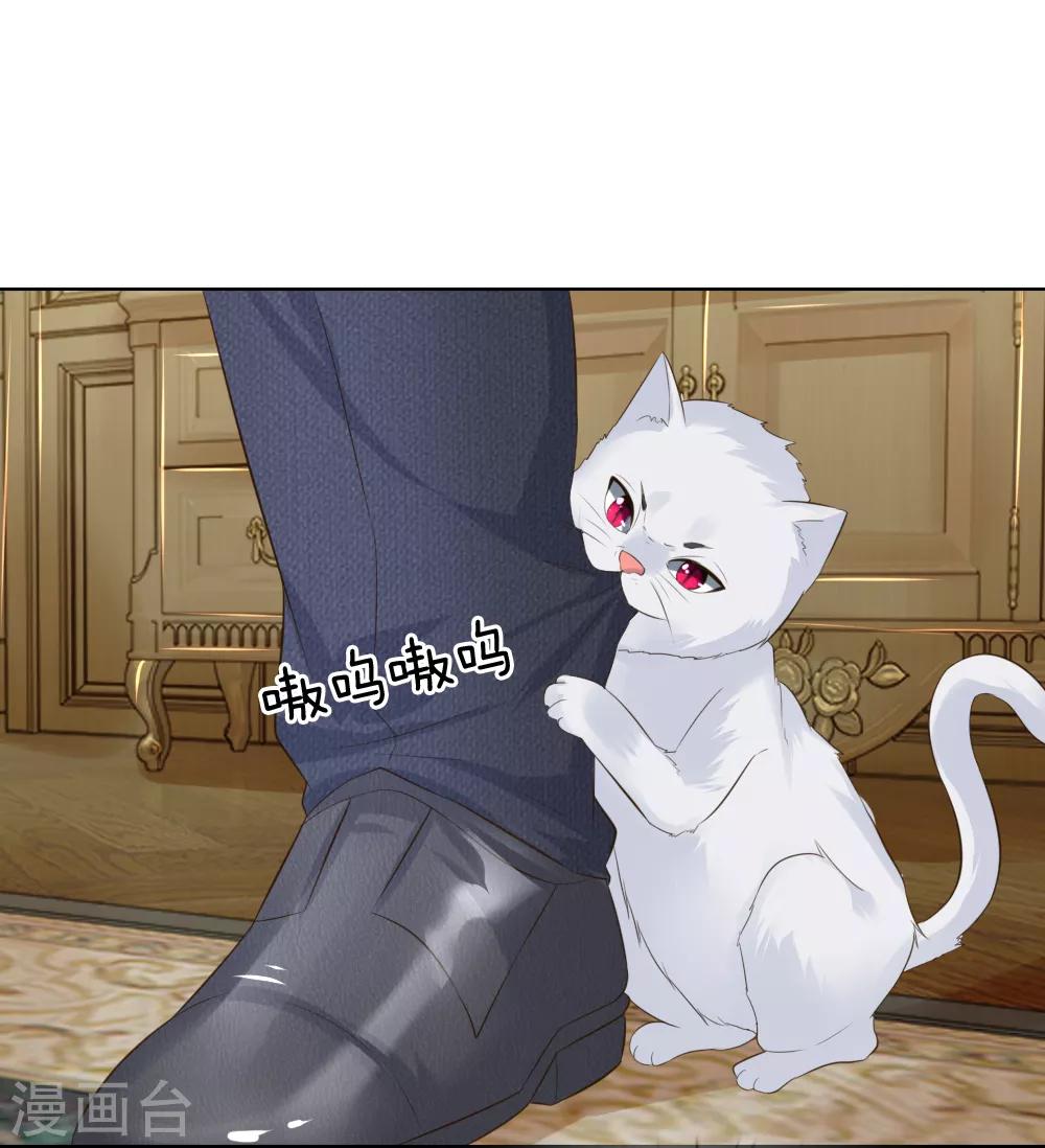 第215话 趋于平静26