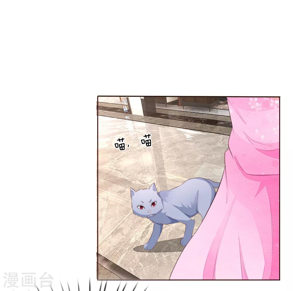 第221话 抱歉，我们认识？18