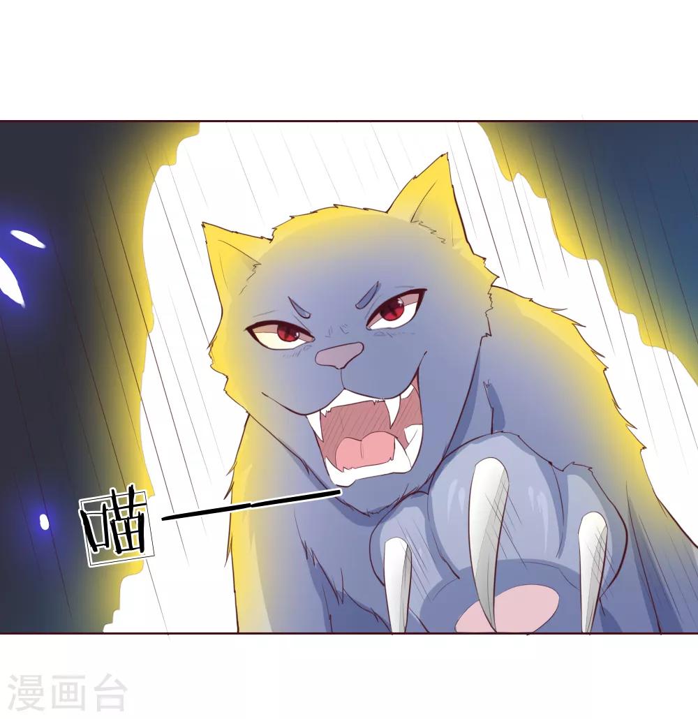 第228话 休想伤害球球！27