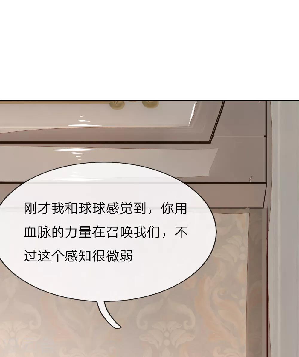 第244话 血脉之力的召唤12