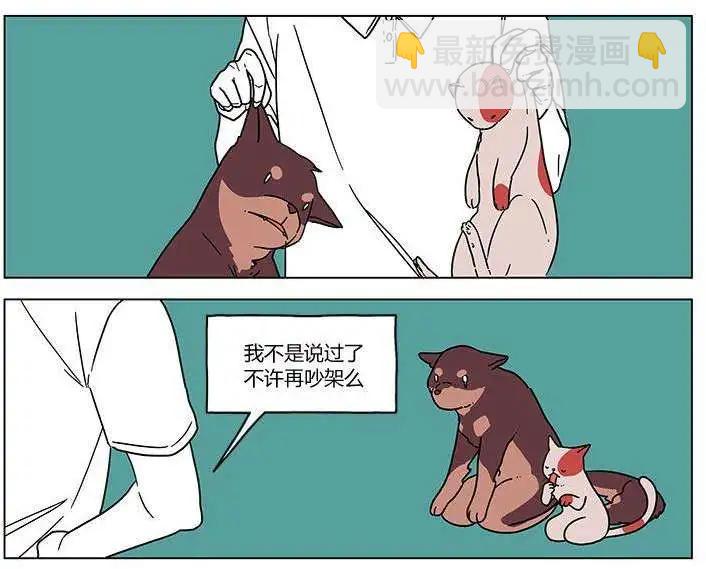 第00回4