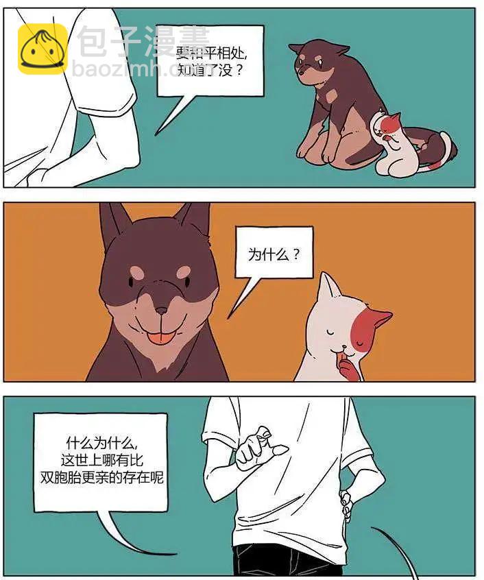 第00回5