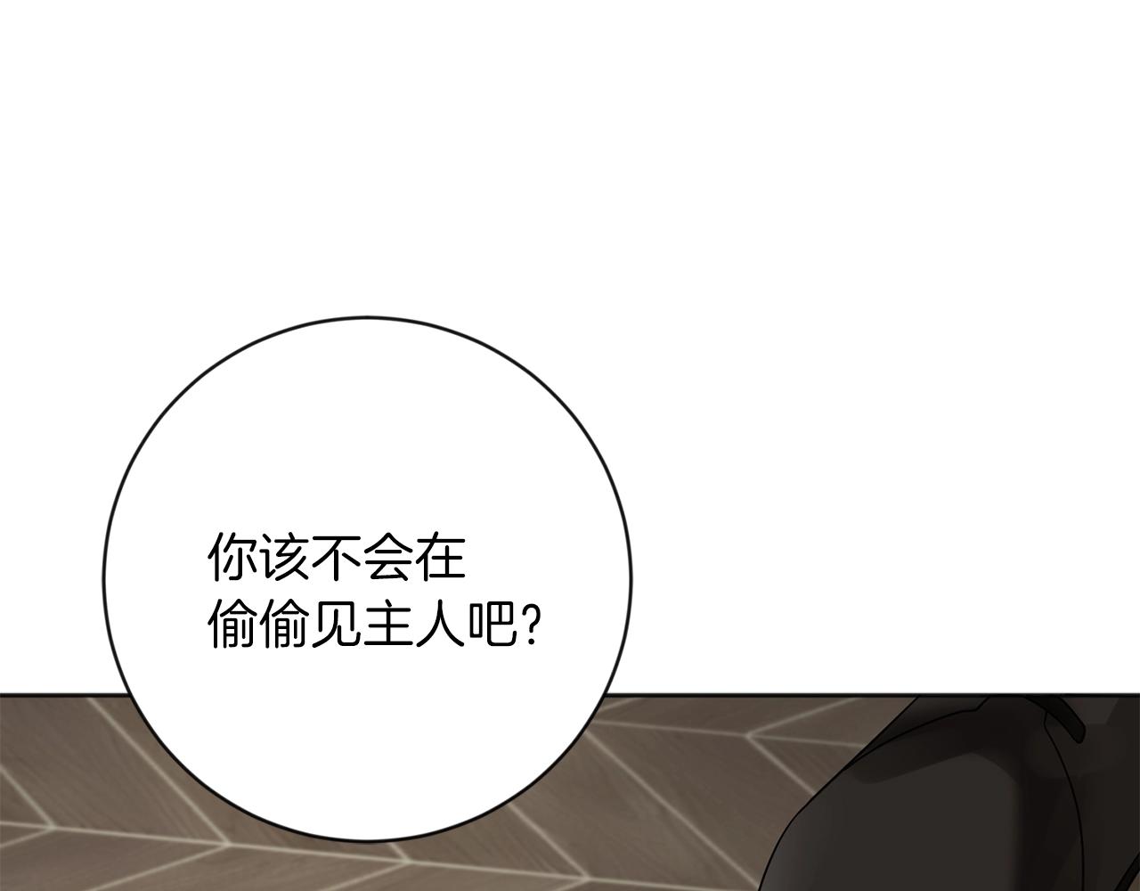 第11话 偷偷见主人91
