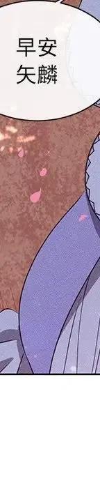 46213