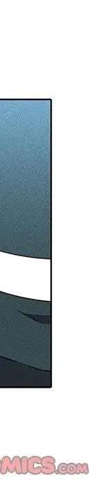 47137