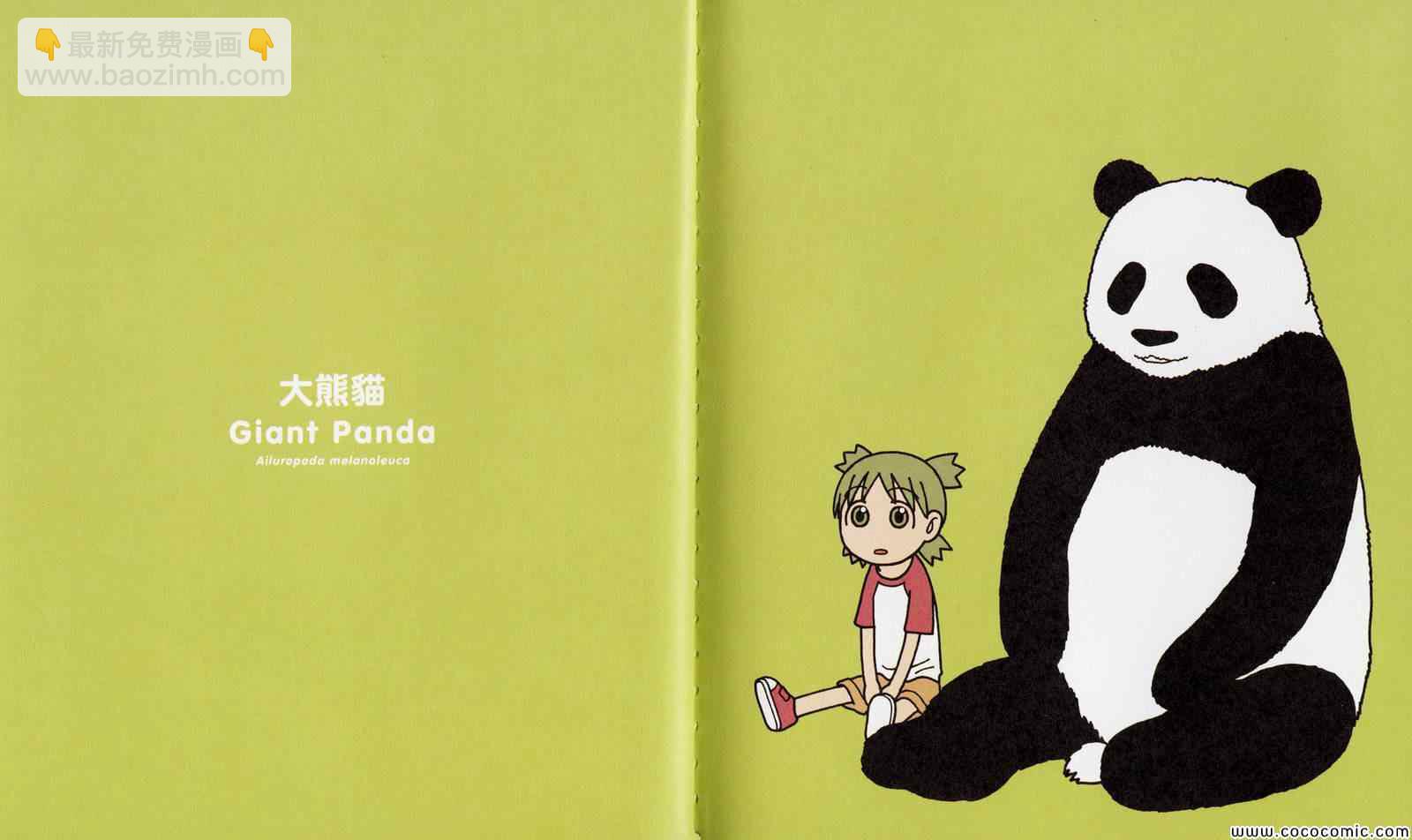 四叶妹妹 绘本13