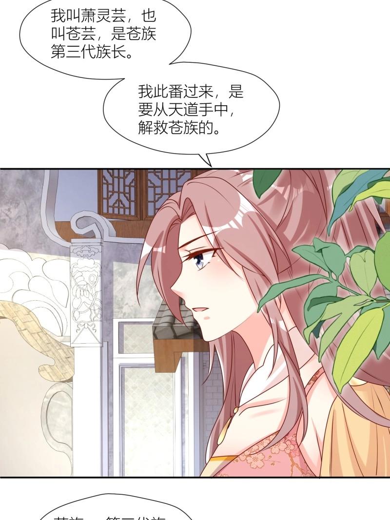 254 重回苍族19