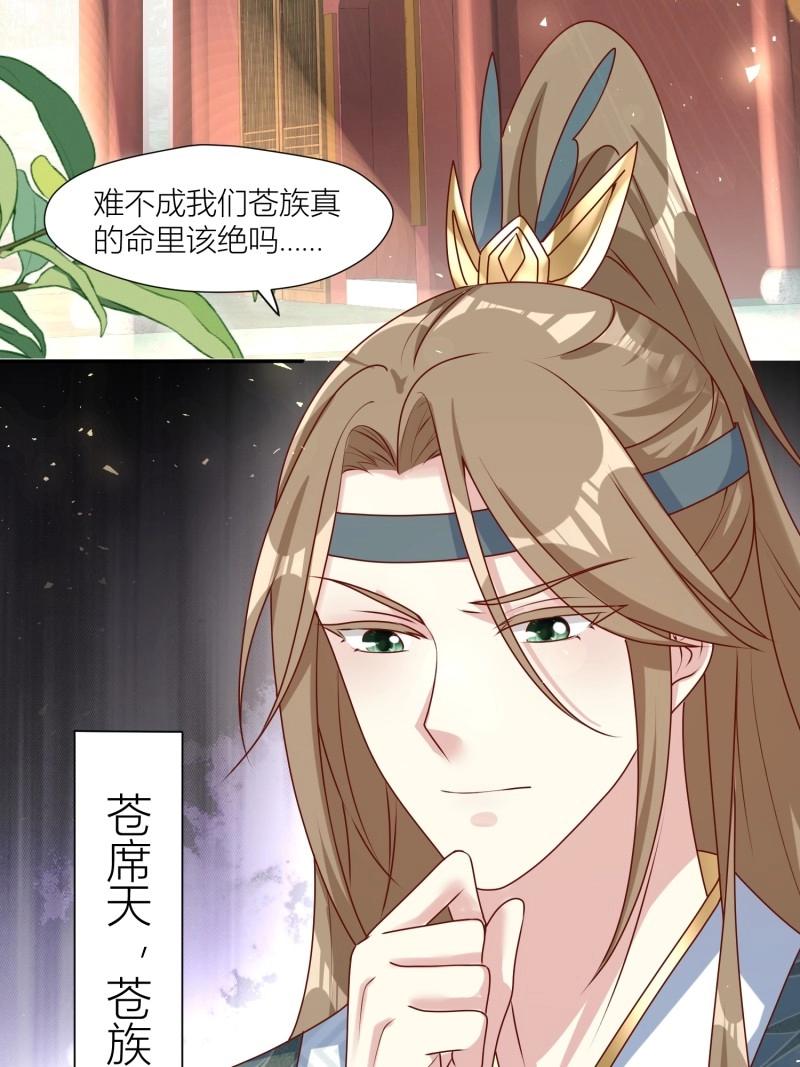 254 重回苍族24
