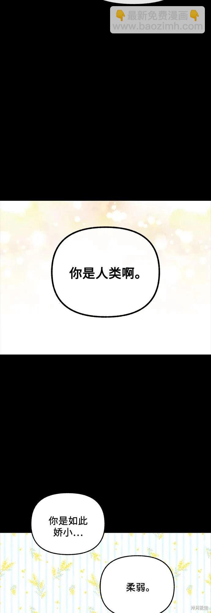 第54话52