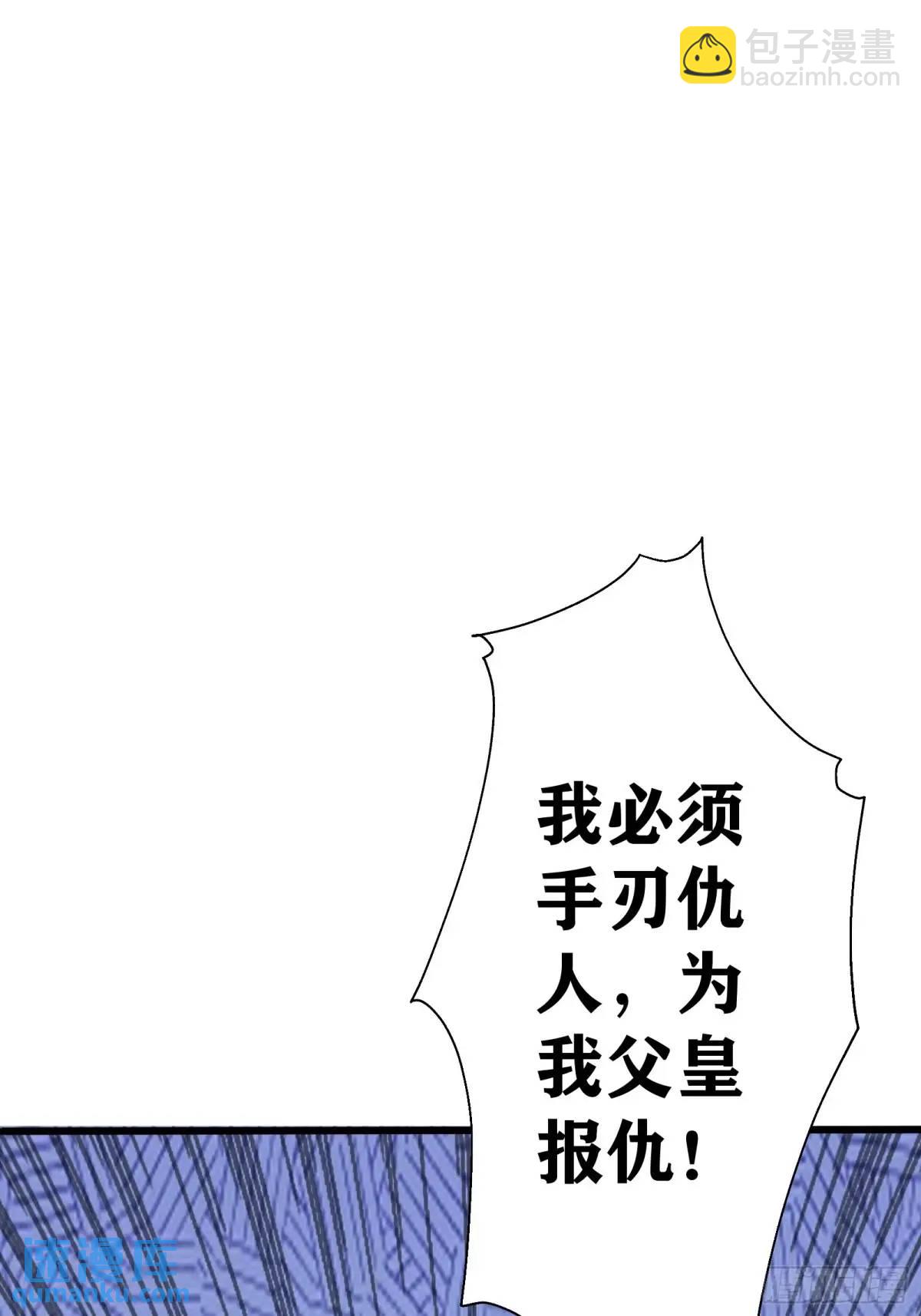 第247话 陨落了30
