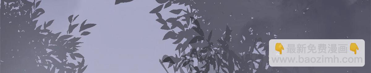 36082