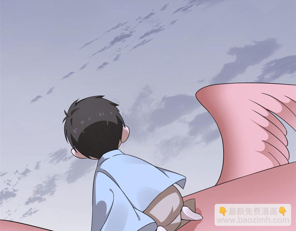 36117
