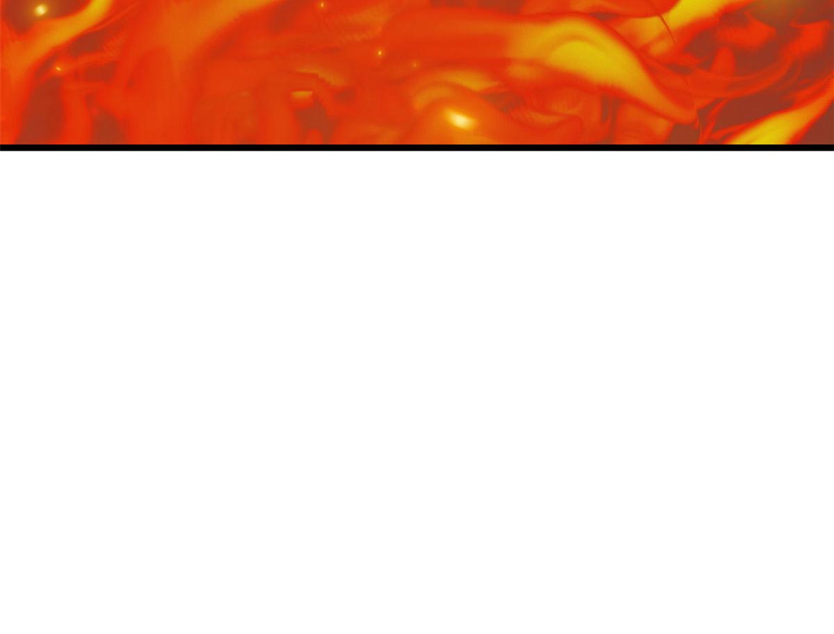 3667
