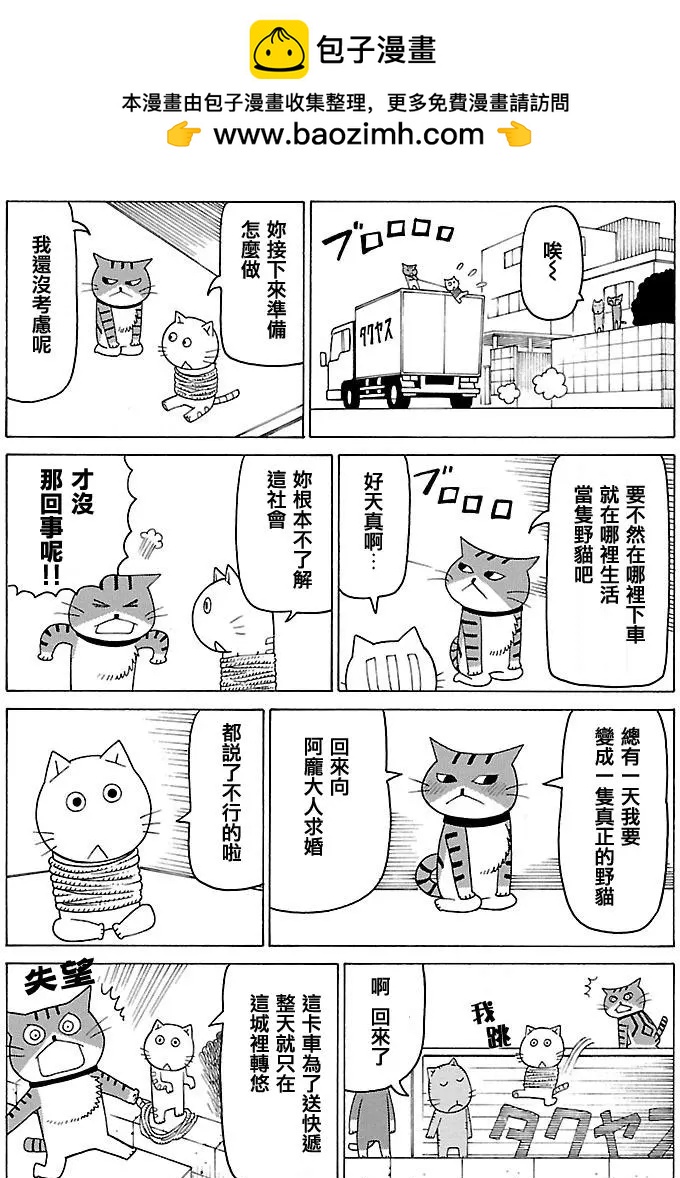 第384回1