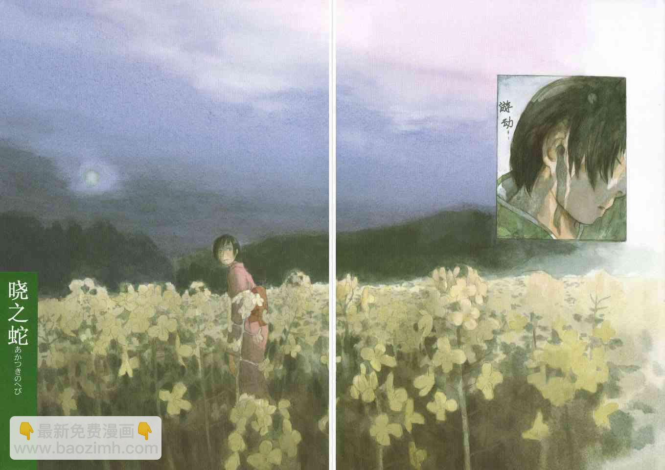 第5卷113