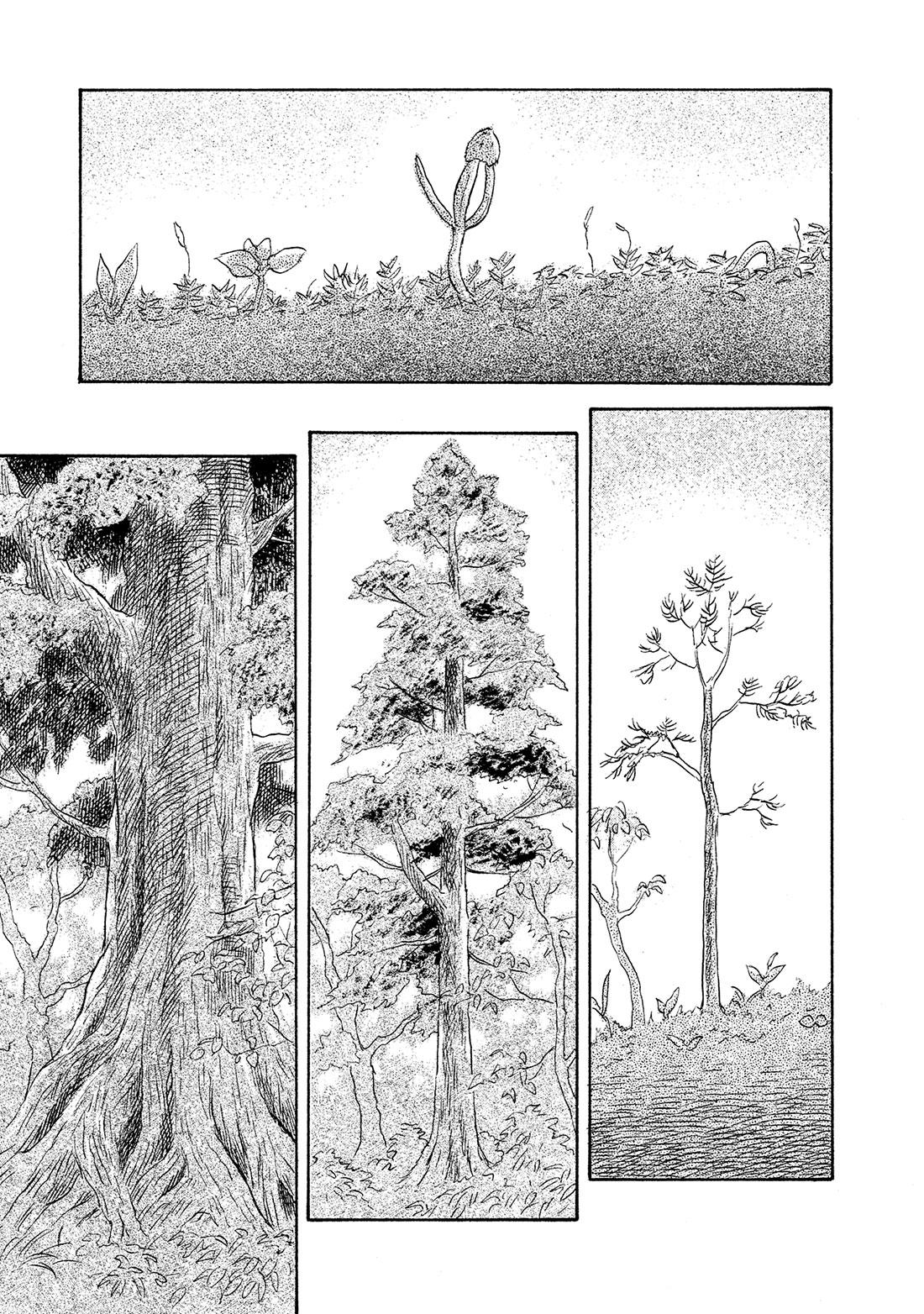 第47话  长生树0