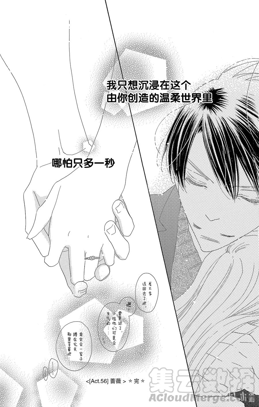56 蔷薇24