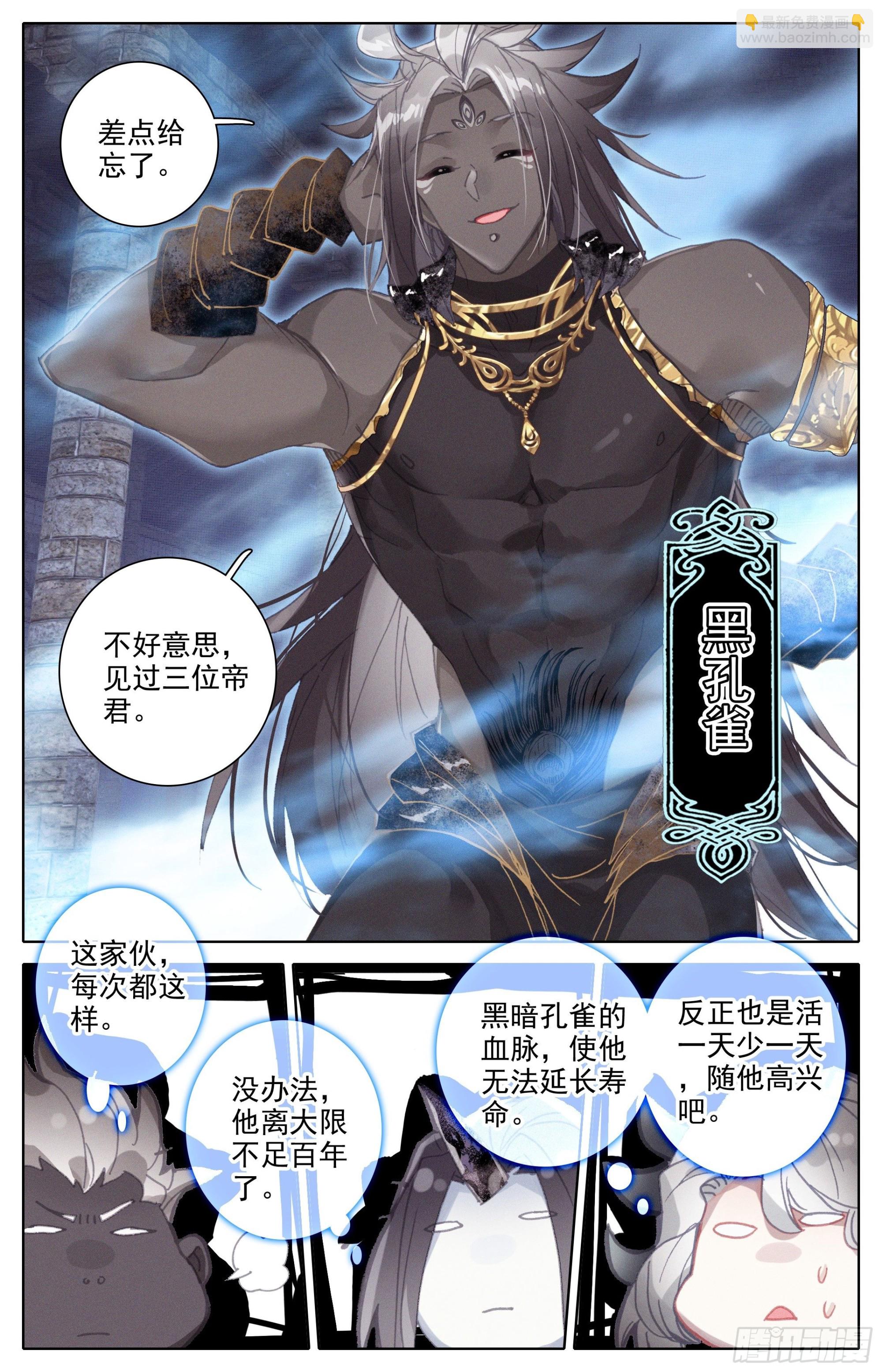 黑孔雀12