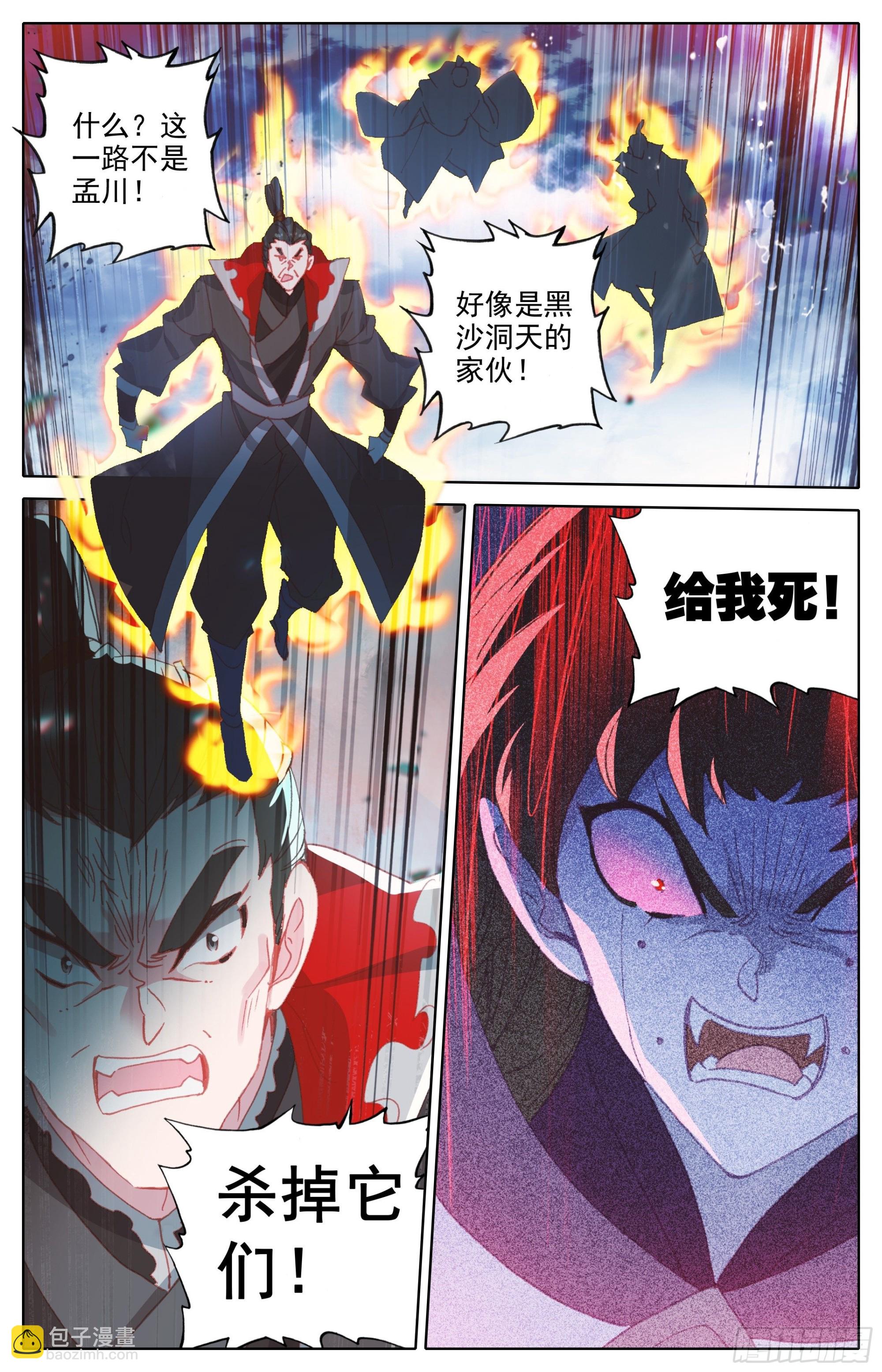 黑孔雀16