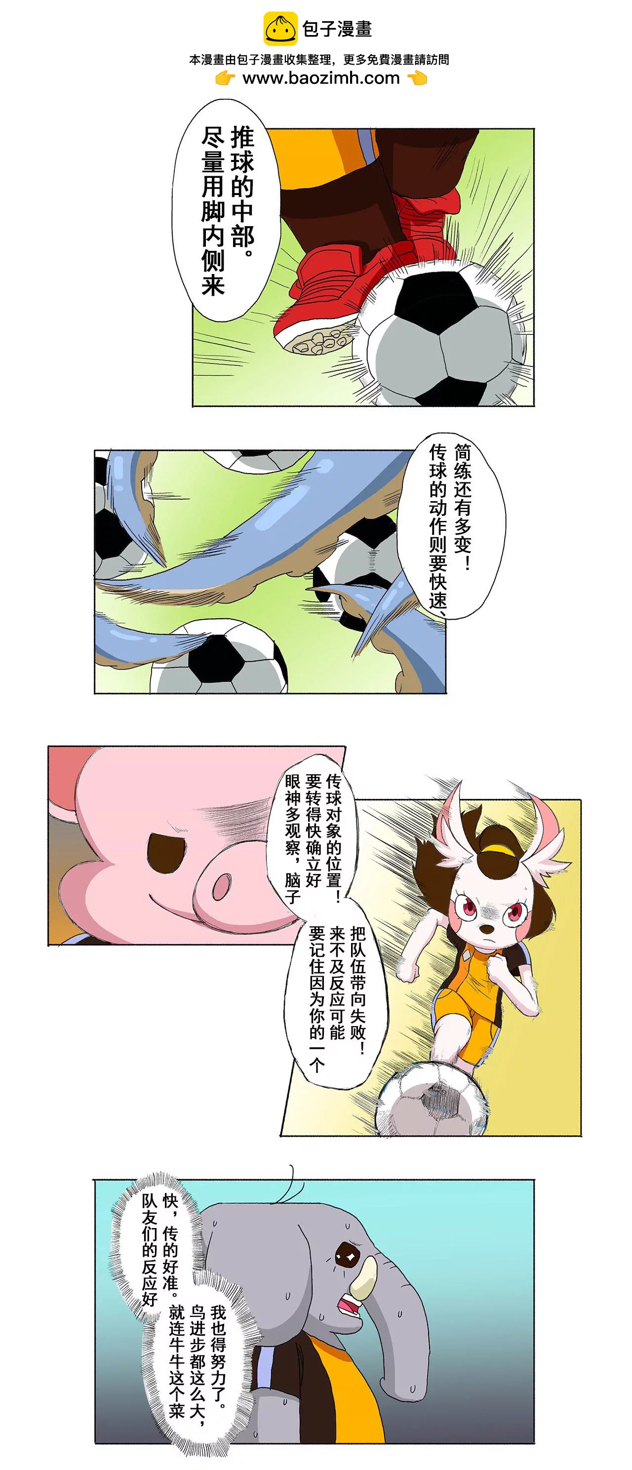 第十二期 短传与信心1