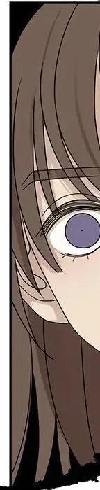53335