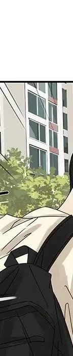 54433