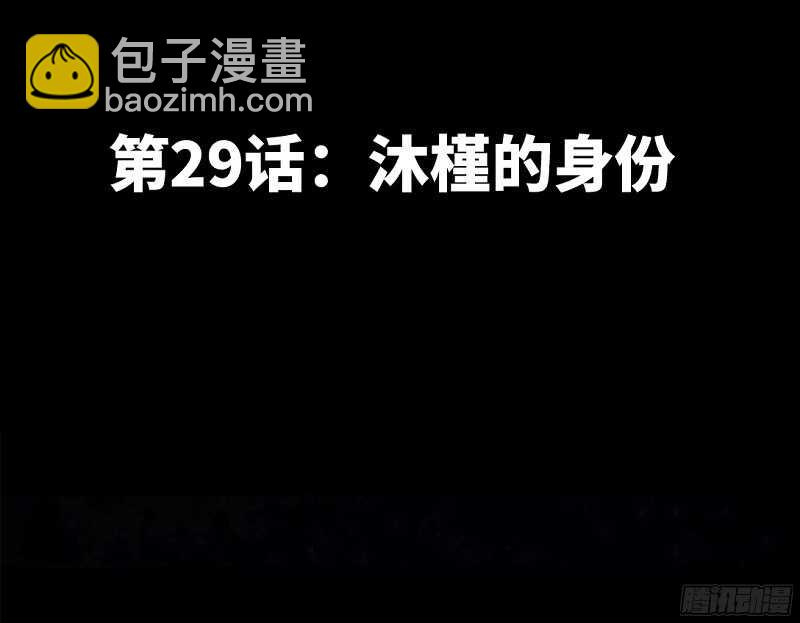 第29话 沐槿的身份14