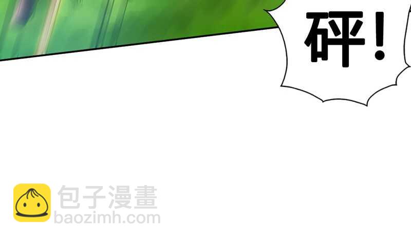 第33话 霸气夫妻档163