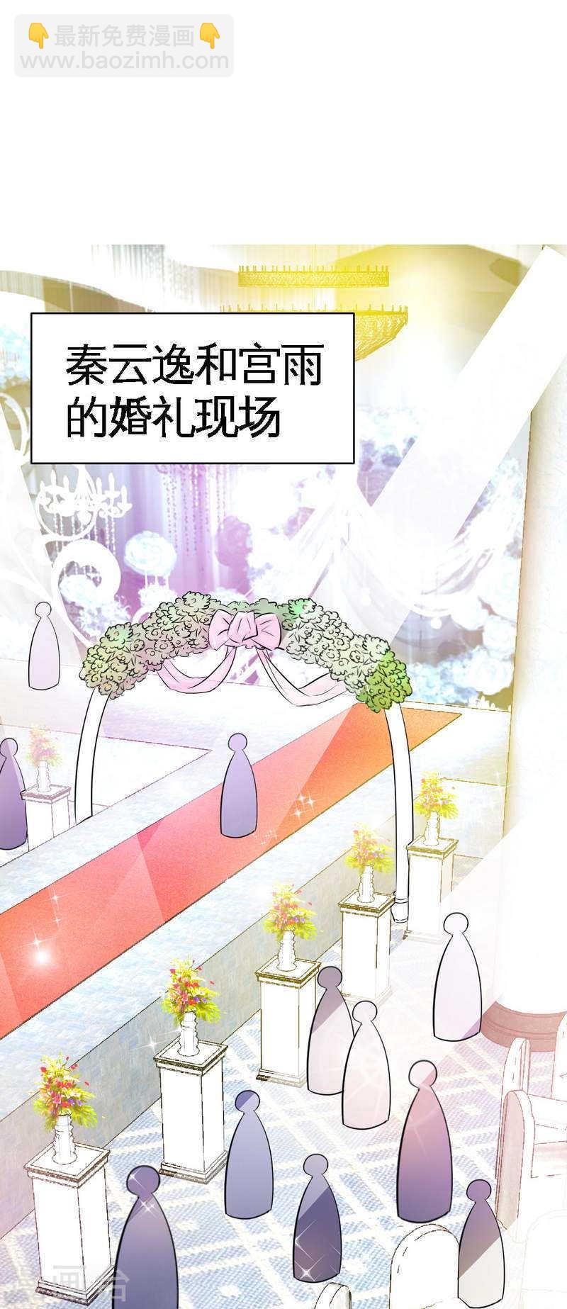 第66话 结婚大礼25
