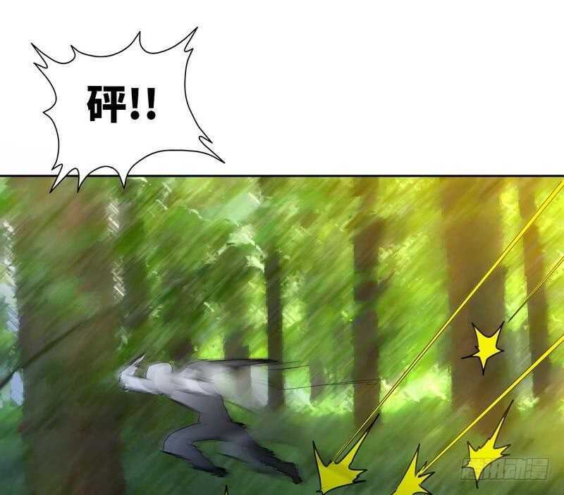 第117话 容珣出击28