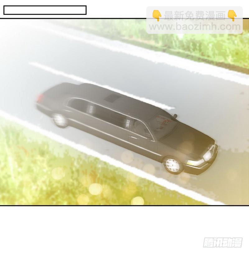 第158话 婚约的隐情13