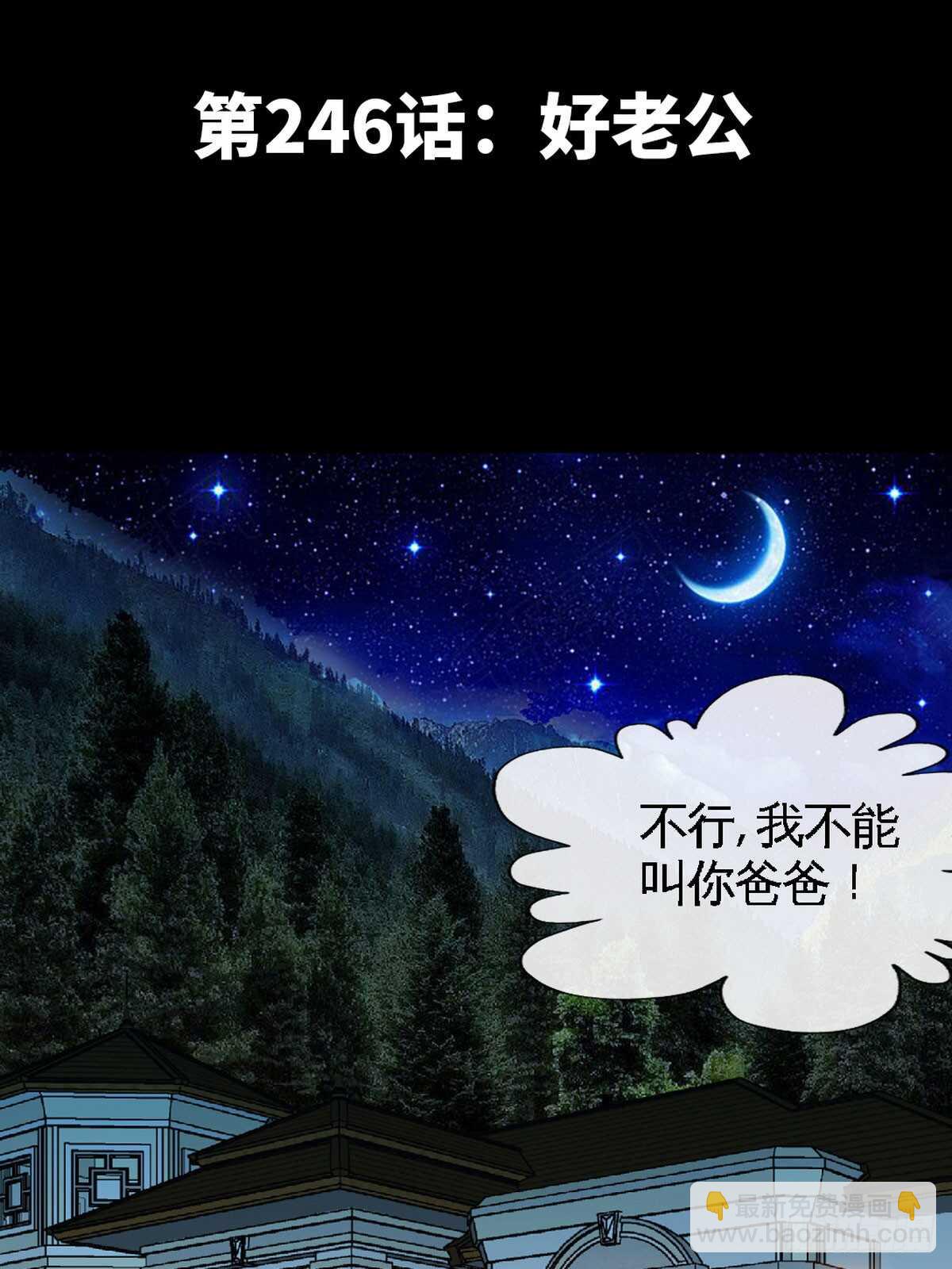 第246话 好老公1