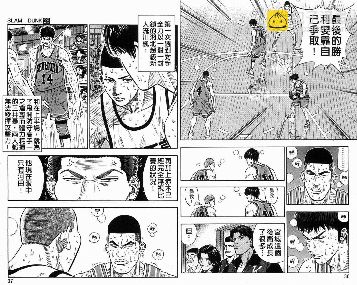第28卷18