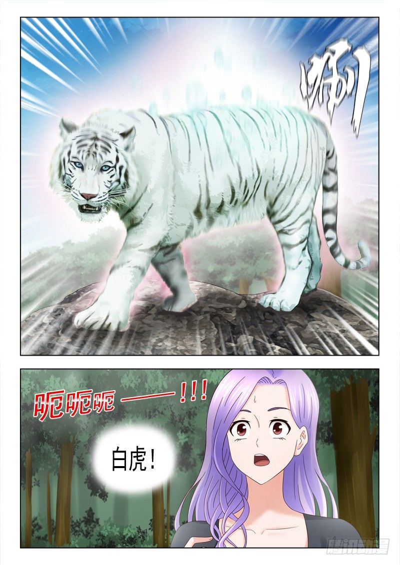 37 白虎13