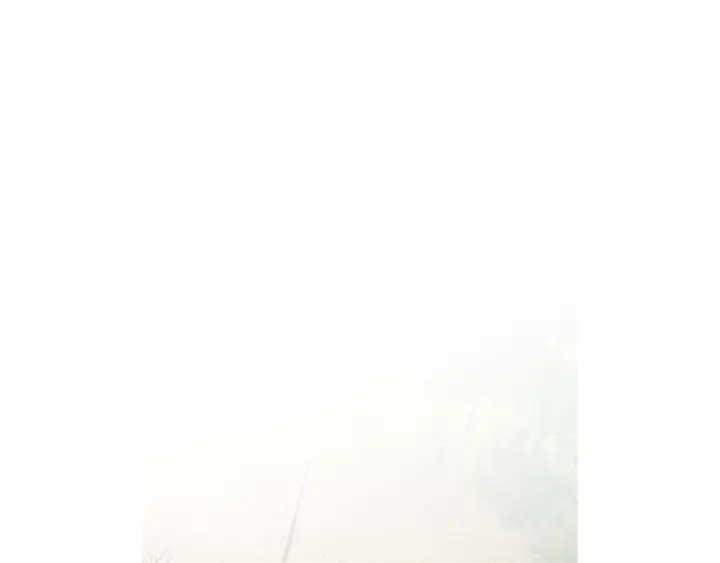 第53话 被发现了73
