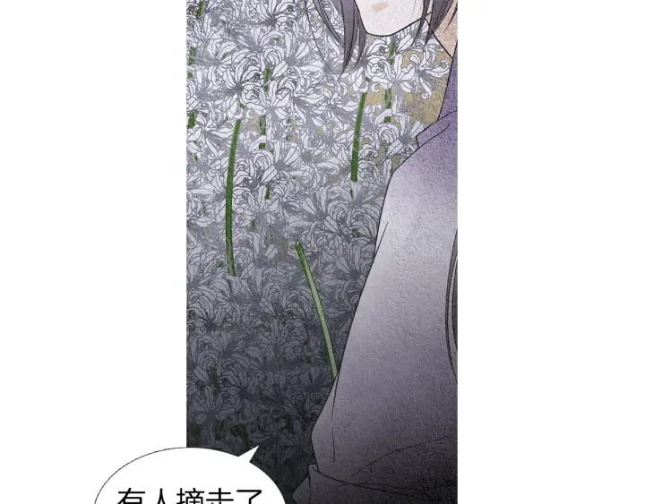 第152话 小星王的威胁66