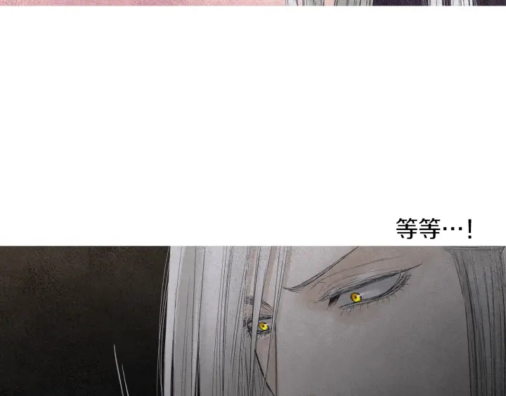 第152话 小星王的威胁71
