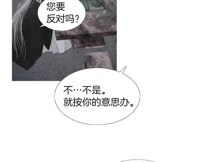 第170话 洁儿的身世104